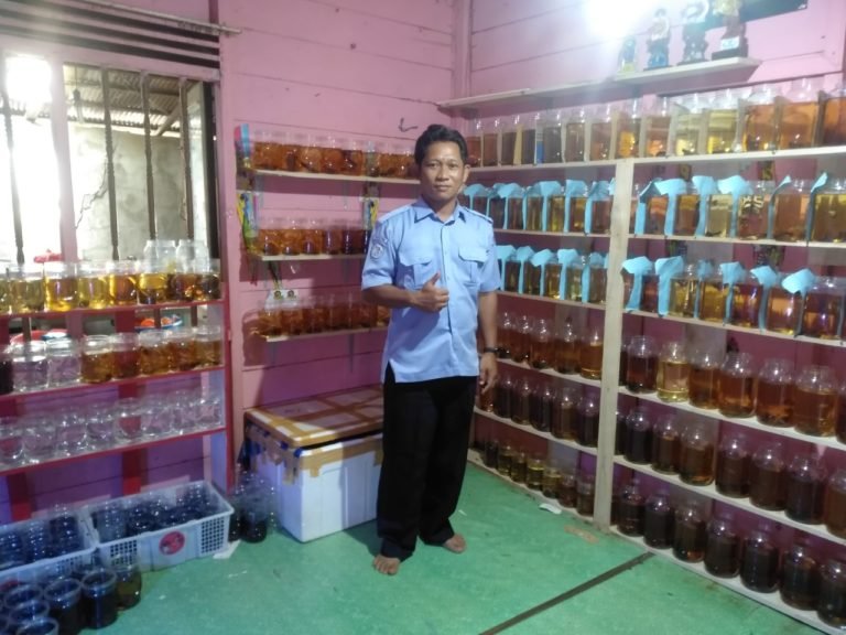 Kehadiran Komunitas Ikan Hias di Kabupaten Tala Perlahan Dongkrak Pertumbuhan Ekonomi Sektor Perikanan 4 IMG 20200909 WA0022