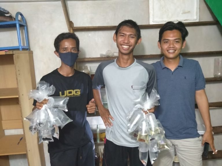 Kehadiran Komunitas Ikan Hias di Kabupaten Tala Perlahan Dongkrak Pertumbuhan Ekonomi Sektor Perikanan 2 IMG 20200909 WA0023