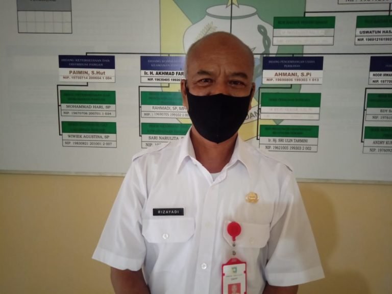 Kehadiran Komunitas Ikan Hias di Kabupaten Tala Perlahan Dongkrak Pertumbuhan Ekonomi Sektor Perikanan 5 IMG 20200910 WA0031