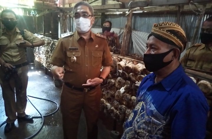 Jaya Senang Ekonomi Banjarbaru Mulai Bergerak, Budidaya Jamur Tiram Mulai Diminati 2 S00921 12564653